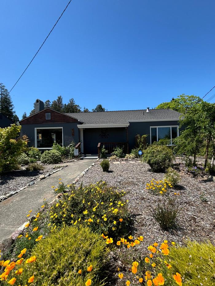 Sebastopol Paw Spa - Sebastopol, CA