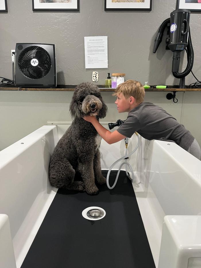 Sebastopol Paw Spa - Sebastopol, CA