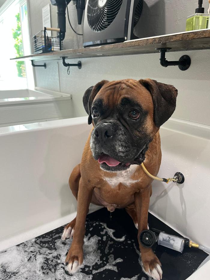 Sebastopol Paw Spa - Sebastopol, CA