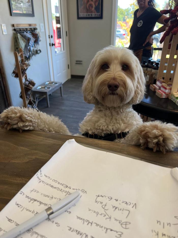 Sebastopol Paw Spa - Sebastopol, CA