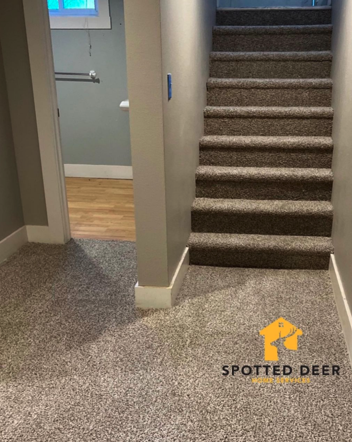 Spotted Deer Remodels - Englewood, CO