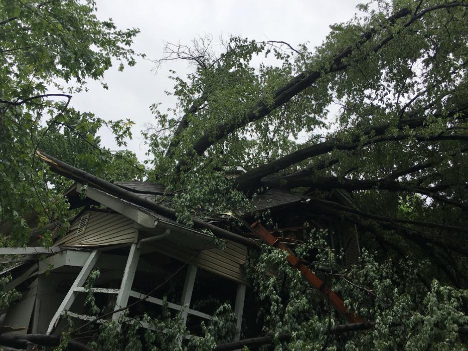 Ahlers Tree Service Inc Logo