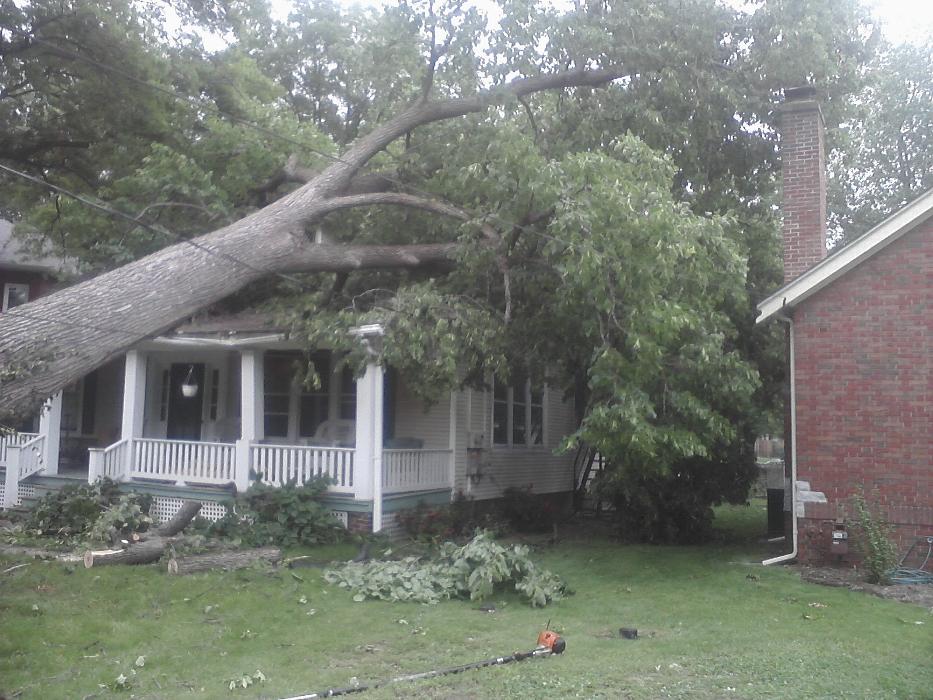 Ahlers Tree Service Inc Image