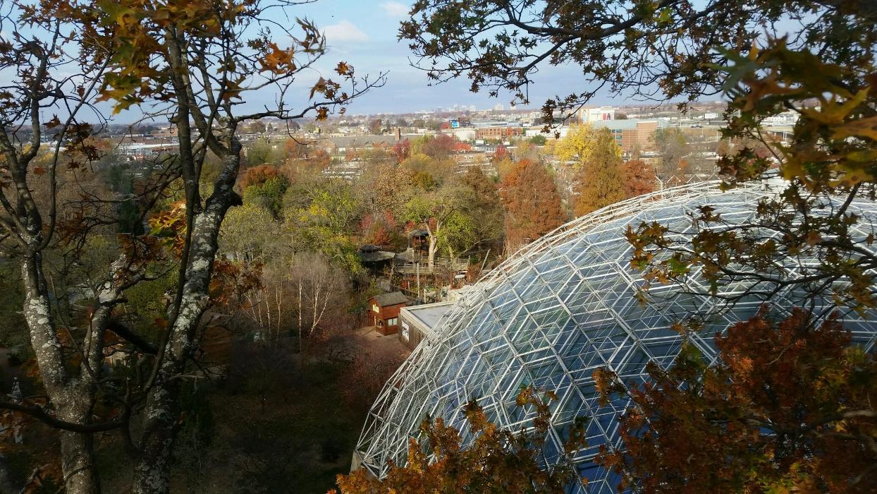 Hudson Tree Service - Millstadt, IL