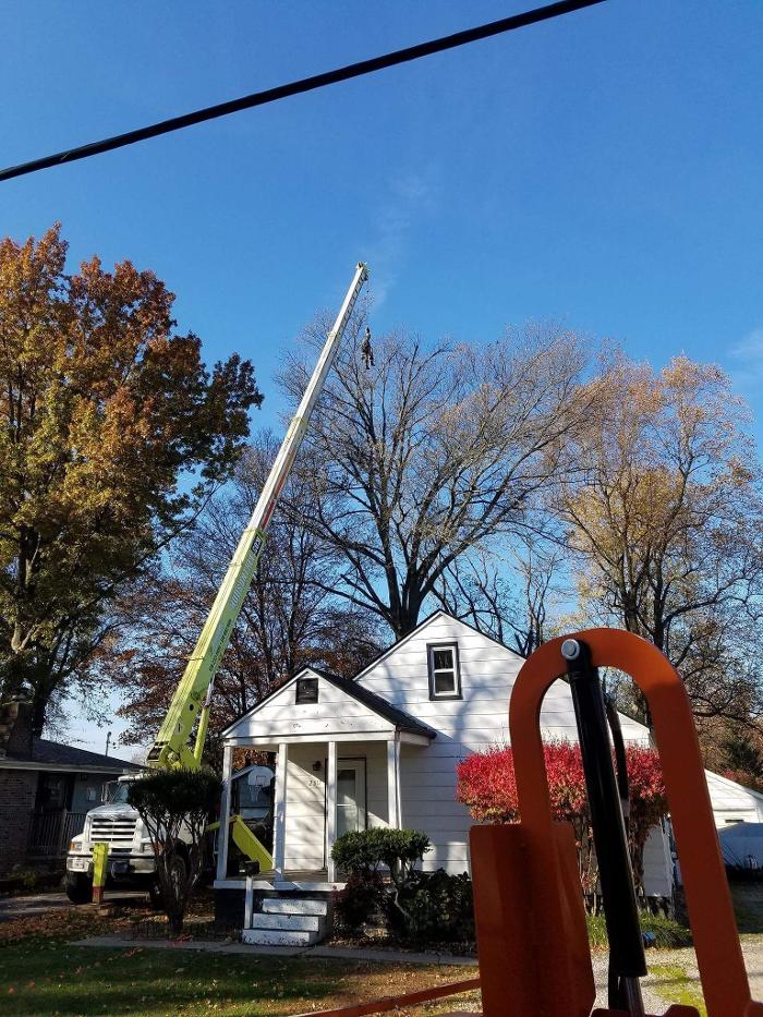 Hudson Tree Service - Millstadt, IL