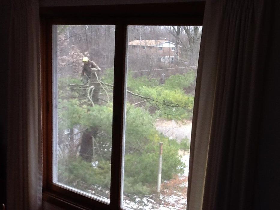 Hudson Tree Service - Millstadt, IL