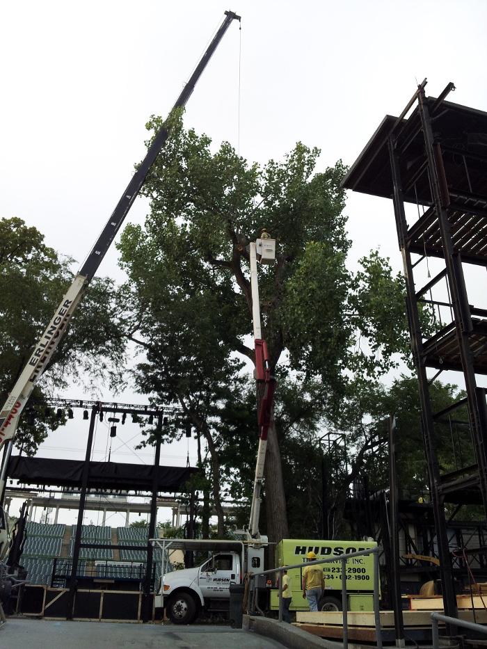 Hudson Tree Service - Millstadt, IL