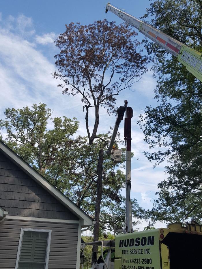 Hudson Tree Service - Millstadt, IL