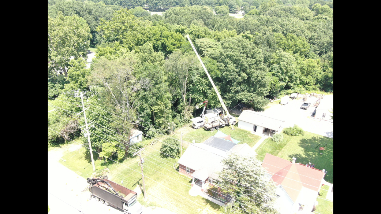 Hudson Tree Service - Millstadt, IL