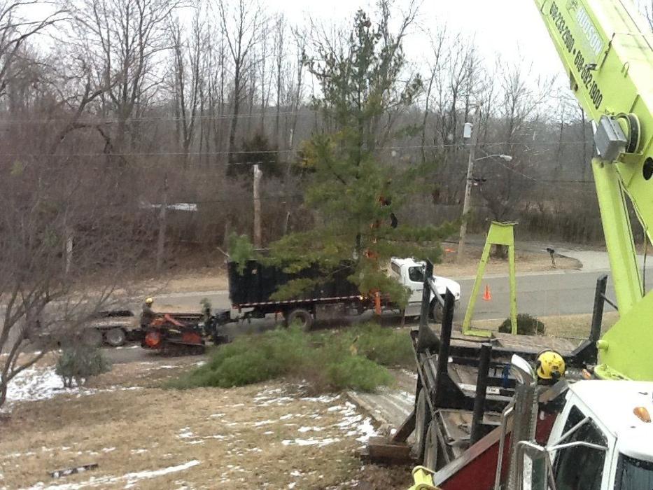 Hudson Tree Service - Millstadt, IL