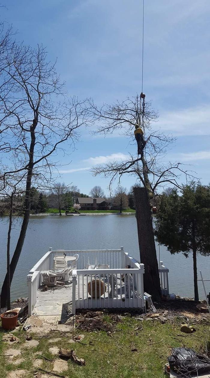 Hudson Tree Service - Millstadt, IL