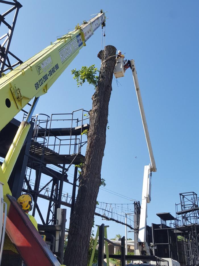 Hudson Tree Service - Millstadt, IL
