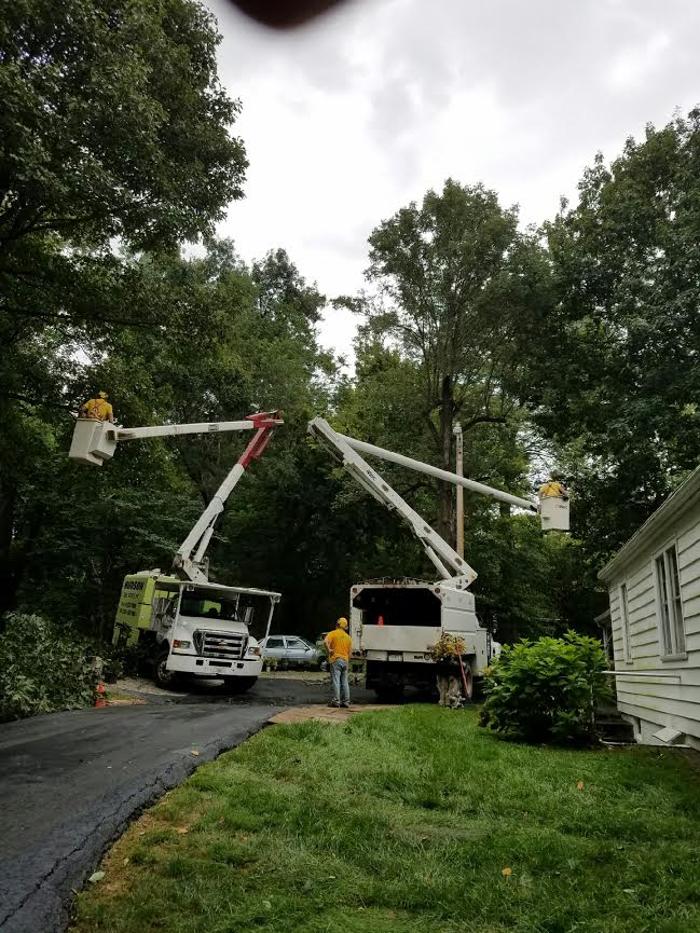 Hudson Tree Service - Millstadt, IL