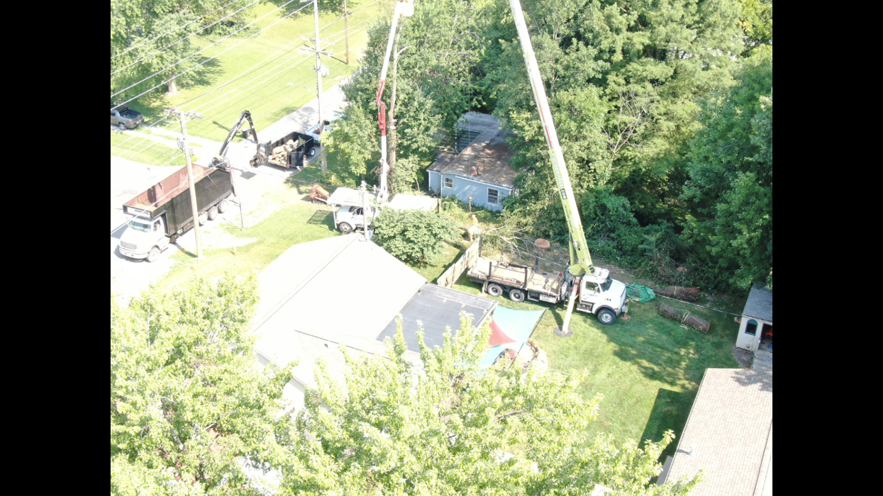 Hudson Tree Service - Millstadt, IL