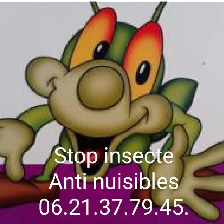 Stop Insecte service pour animaux
