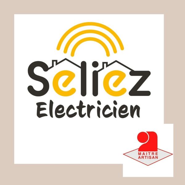 Seliez Frédéric Expert