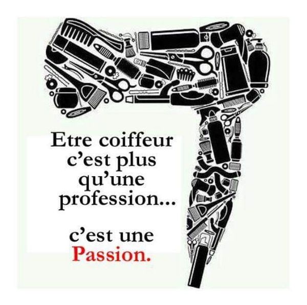 Les Ptits Ciseaux