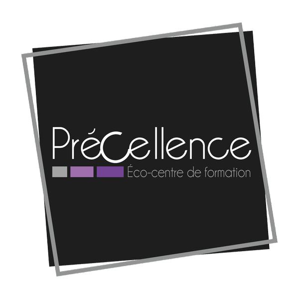 Précellence Formations et Conseils apprentissage et formation professionnelle