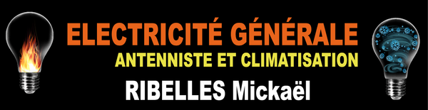 Ribelles Mickaël Expert