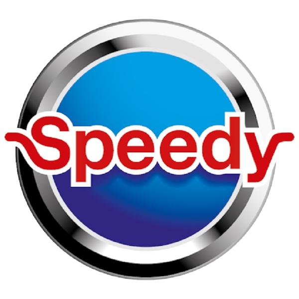 Speedy pièces et accessoires automobile, véhicule industriel (commerce)