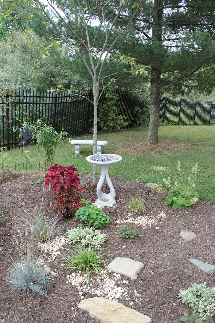 Albemarle Dermatology Associates Image