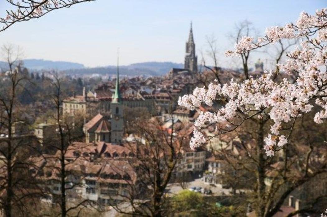 Podologie Vogt, Bim Zytglogge in Bern
