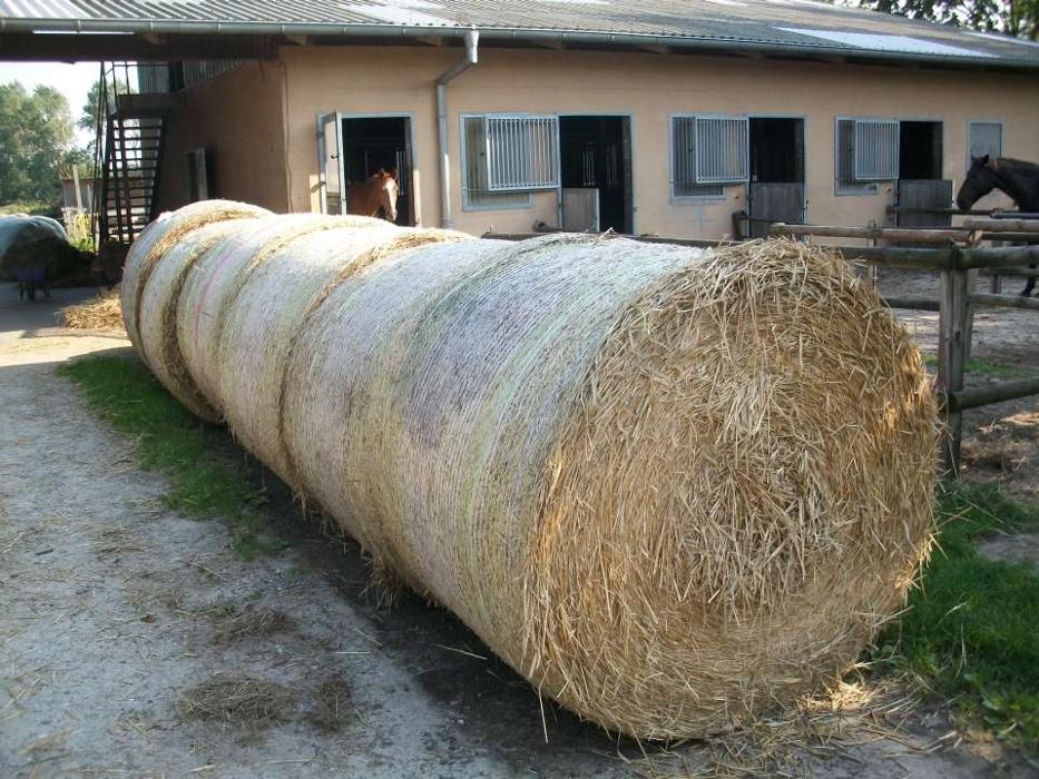 Der Hof Heilpädagogischer Bauernhof und Integrative Freizeitgestaltung e.V., Zum Hof in Isenbüttel