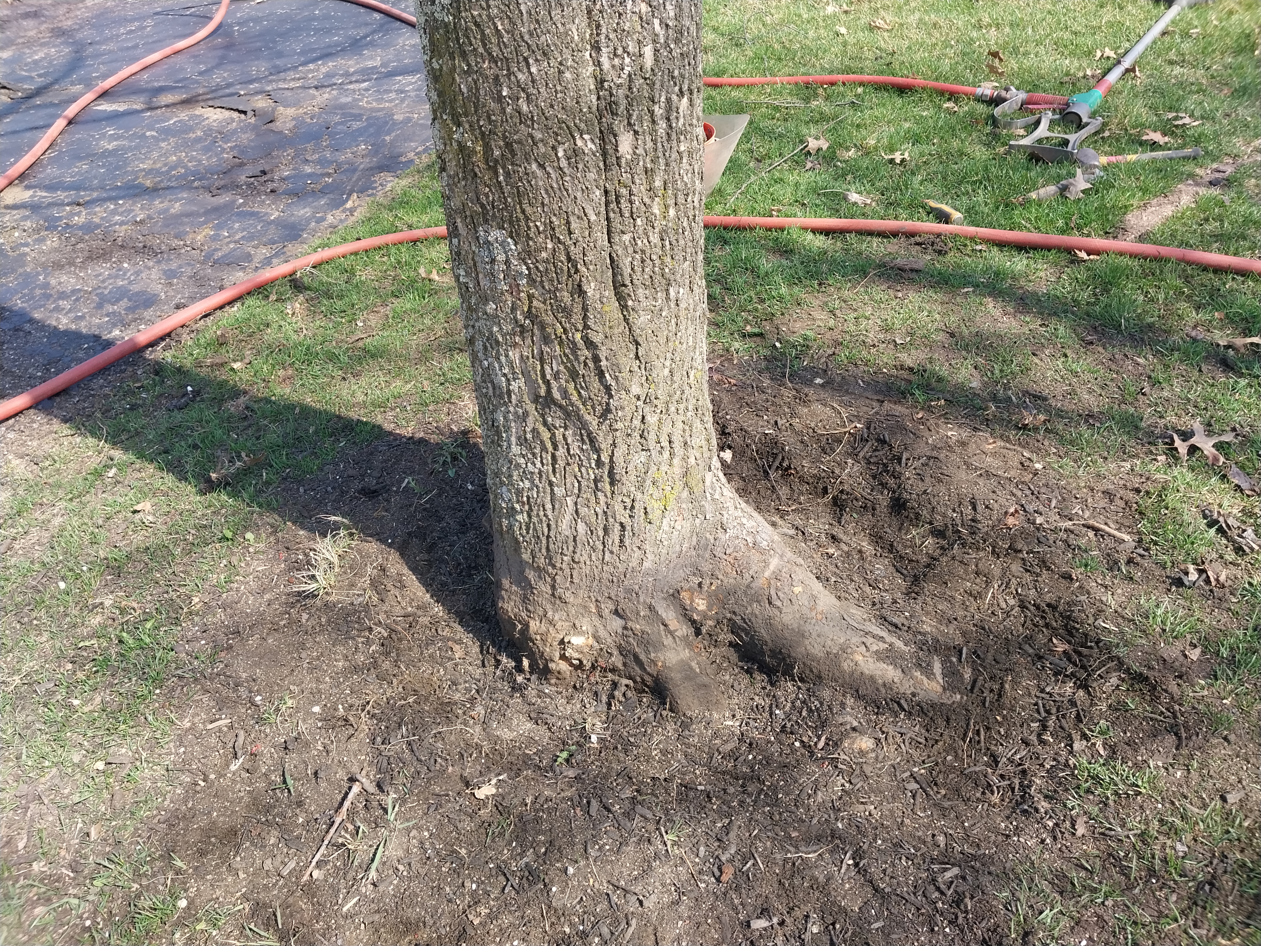 Image 2 | Black Maple Landscaping