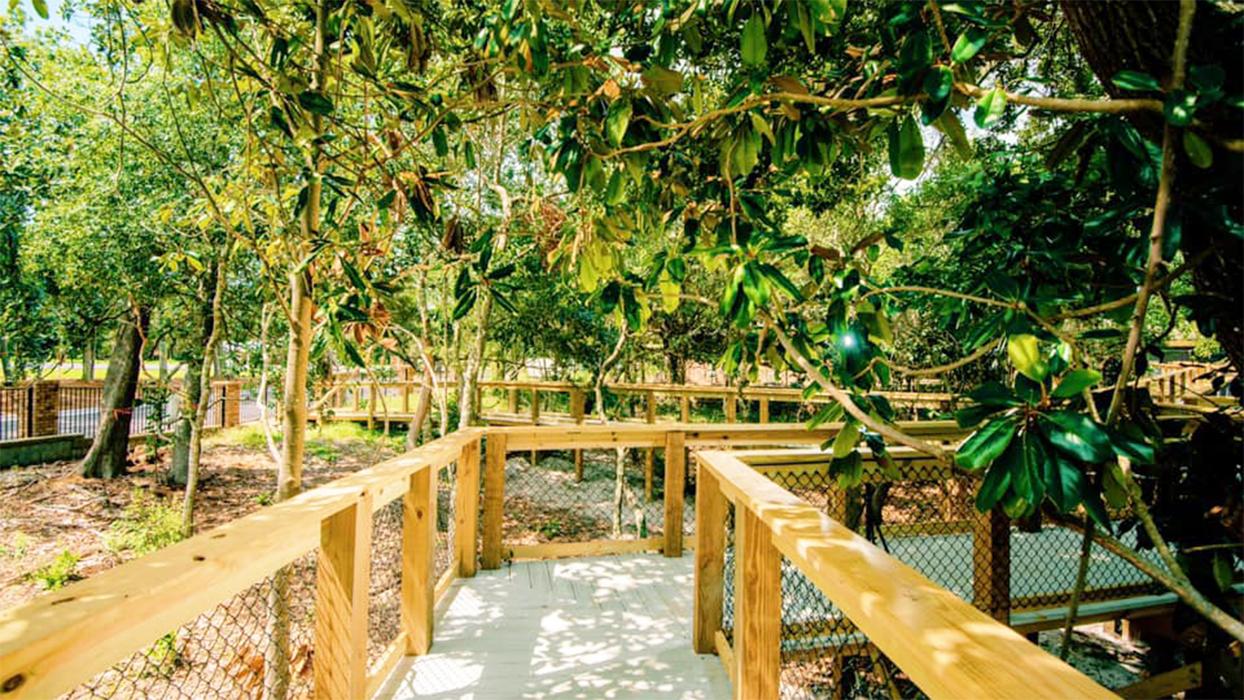 BeeHive Homes Assisted Living - Gulf Breeze, FL