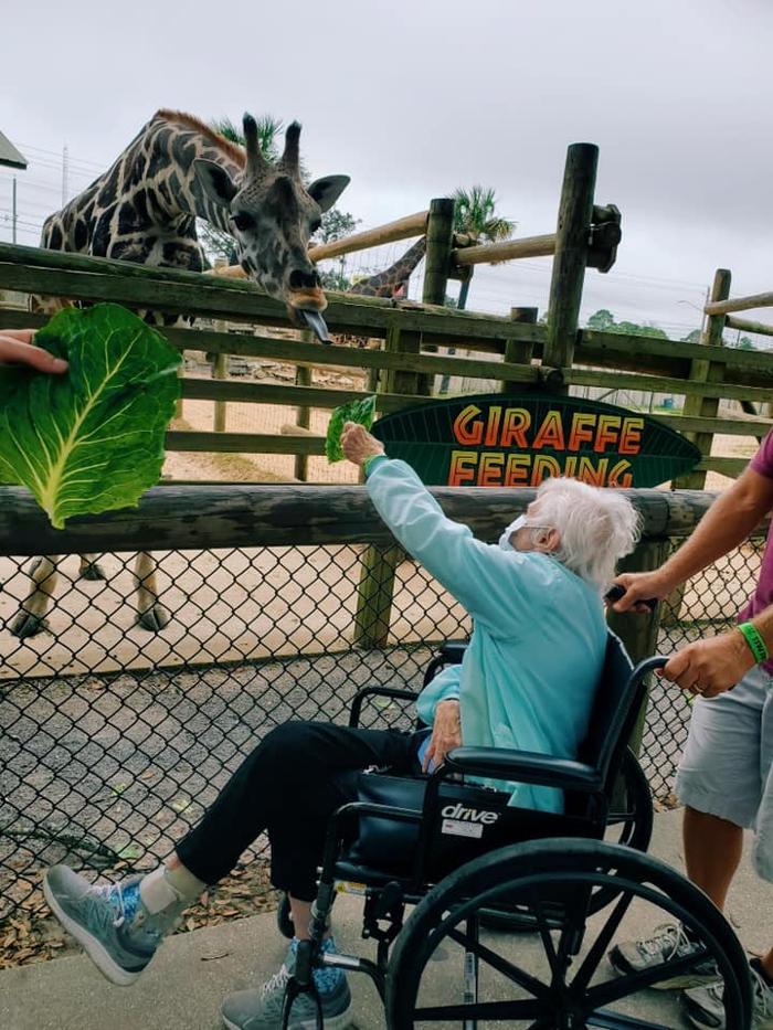 BeeHive Homes Assisted Living - Gulf Breeze, FL