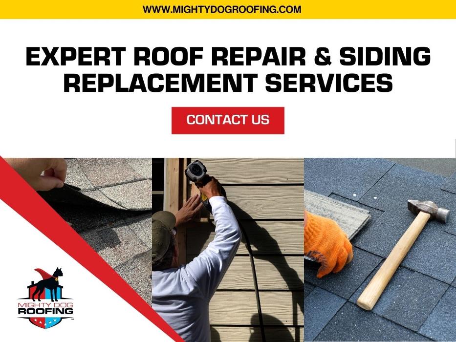 Mighty Dog Roofing - South Easton, MA