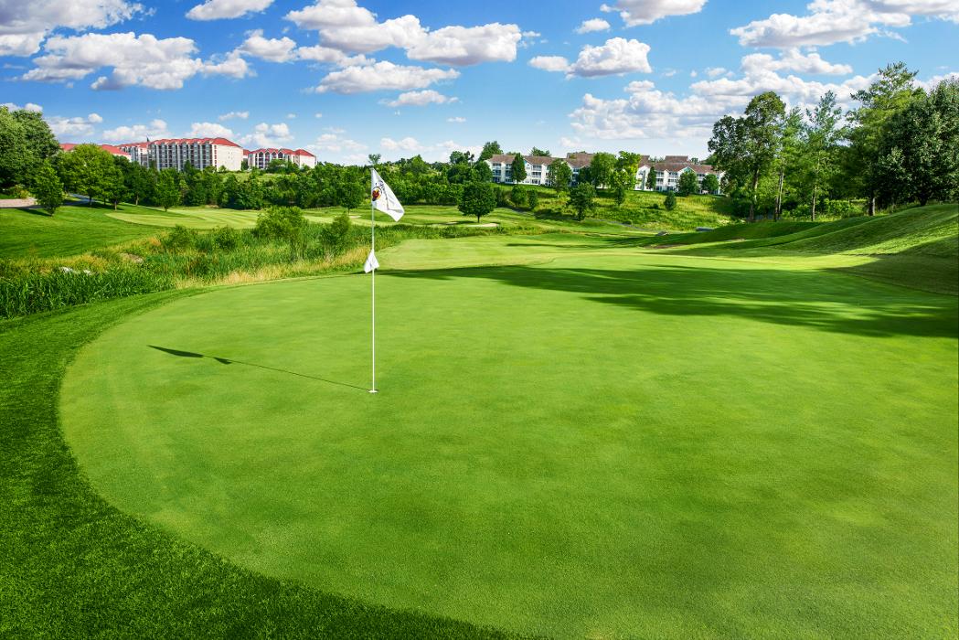 Thousand Hills Vacations - Branson, MO