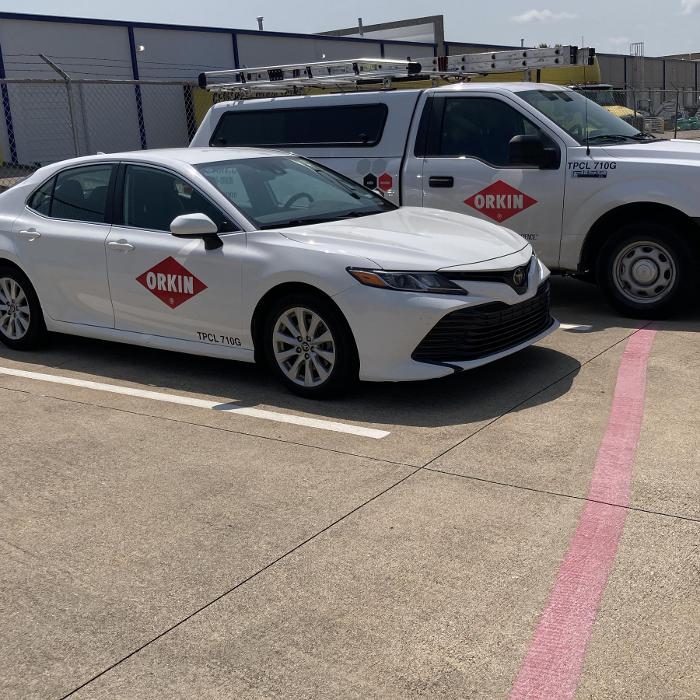 Orkin - Forney, TX