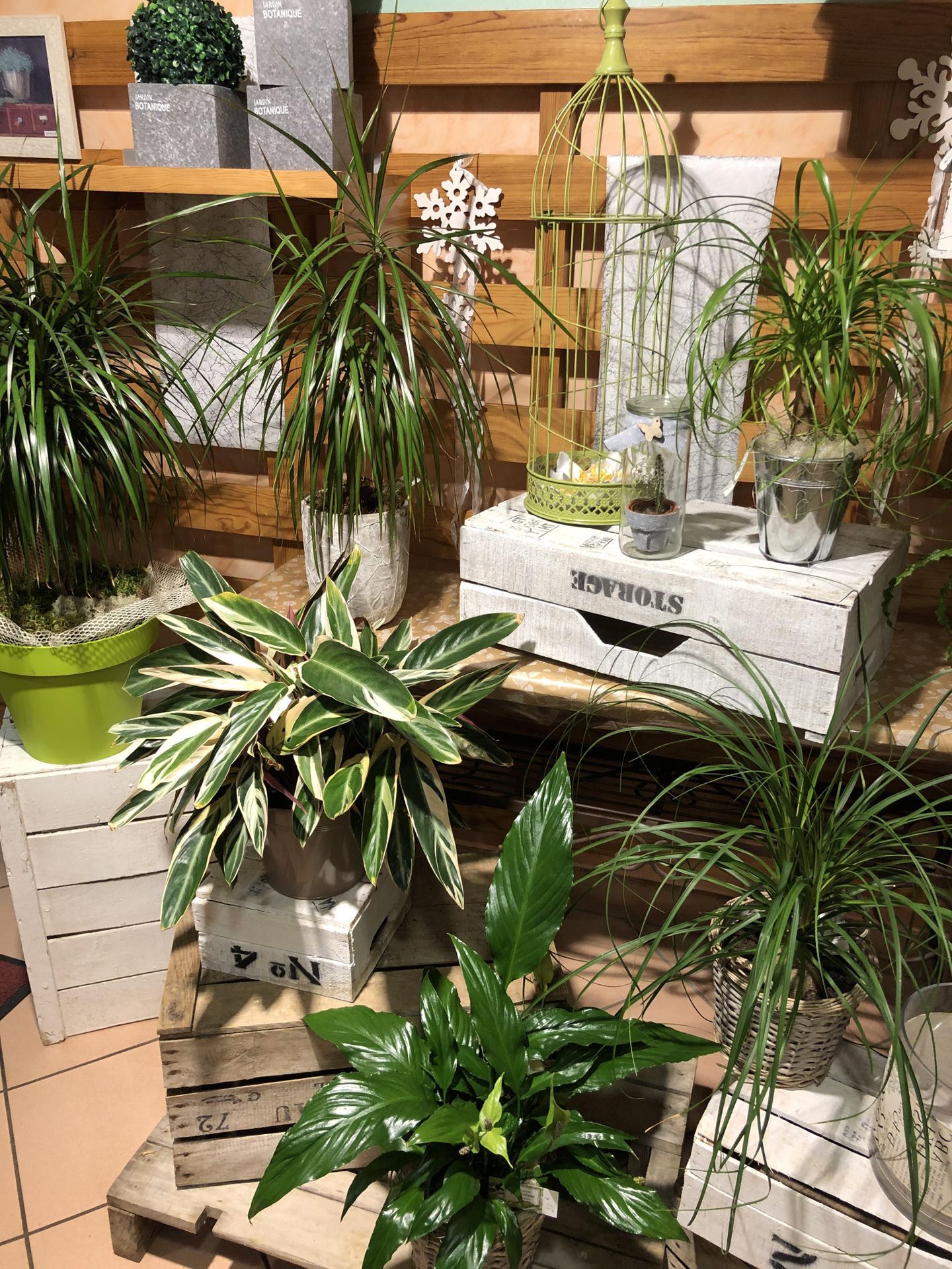 galerie image galerie image