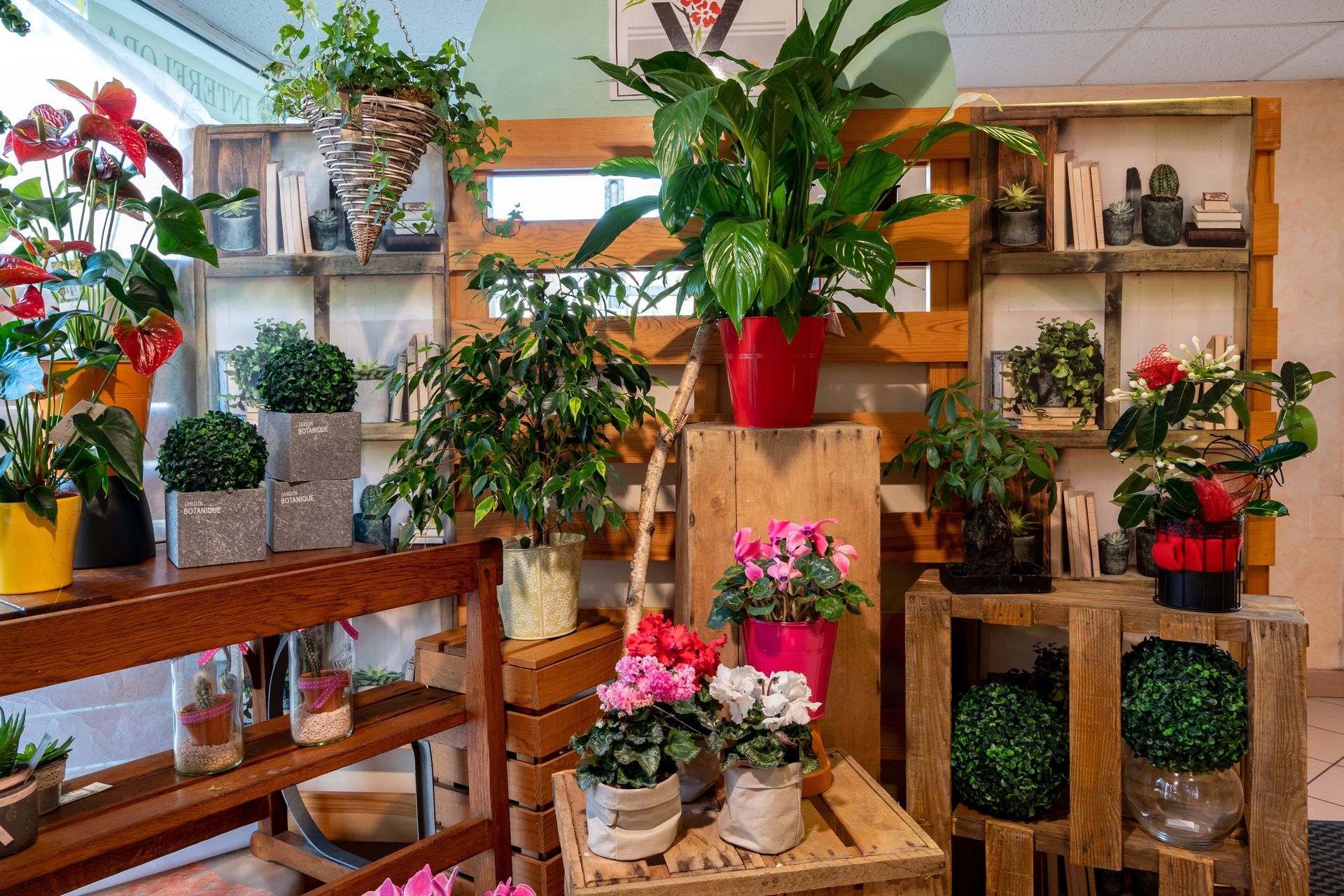 galerie image galerie image