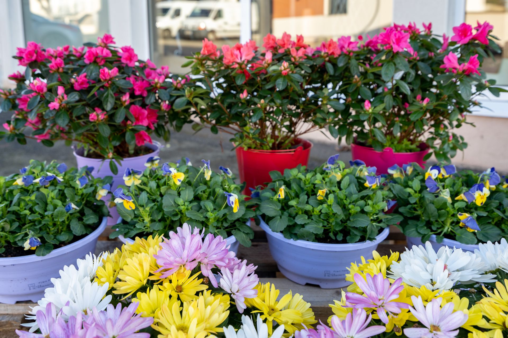 galerie image galerie image