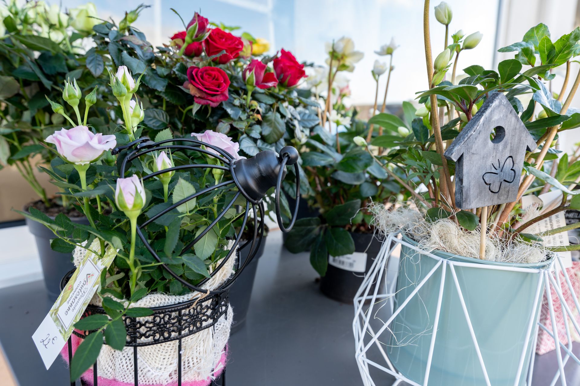 galerie image galerie image