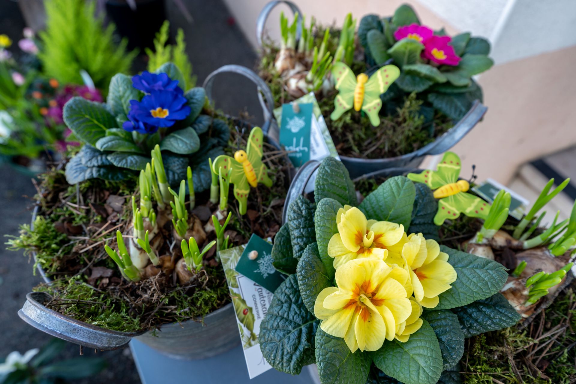 galerie image galerie image