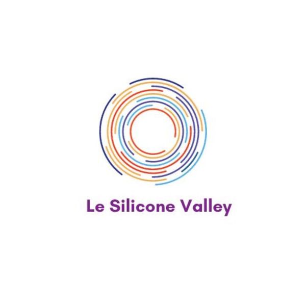 Le Silicone Valley Autres commerces et services