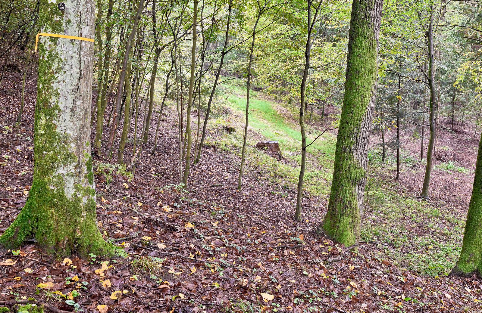 FriedWald Hügelland, Vasoldsberg in Vasoldsberg