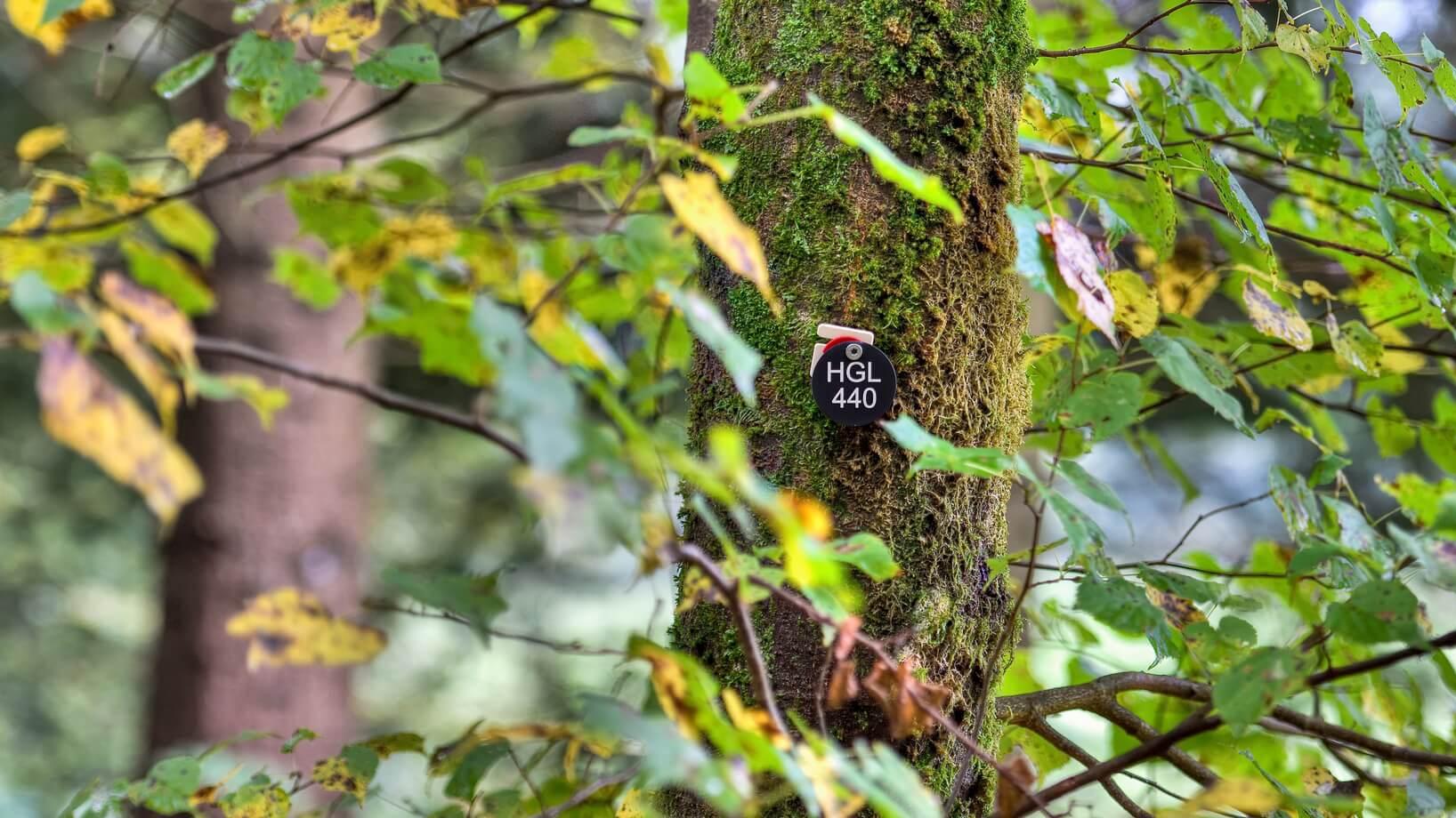 FriedWald Hügelland, Vasoldsberg in Vasoldsberg