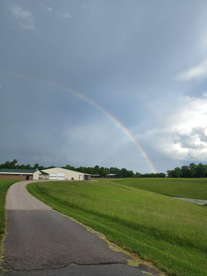Laura's Dog Retreat - London, KY