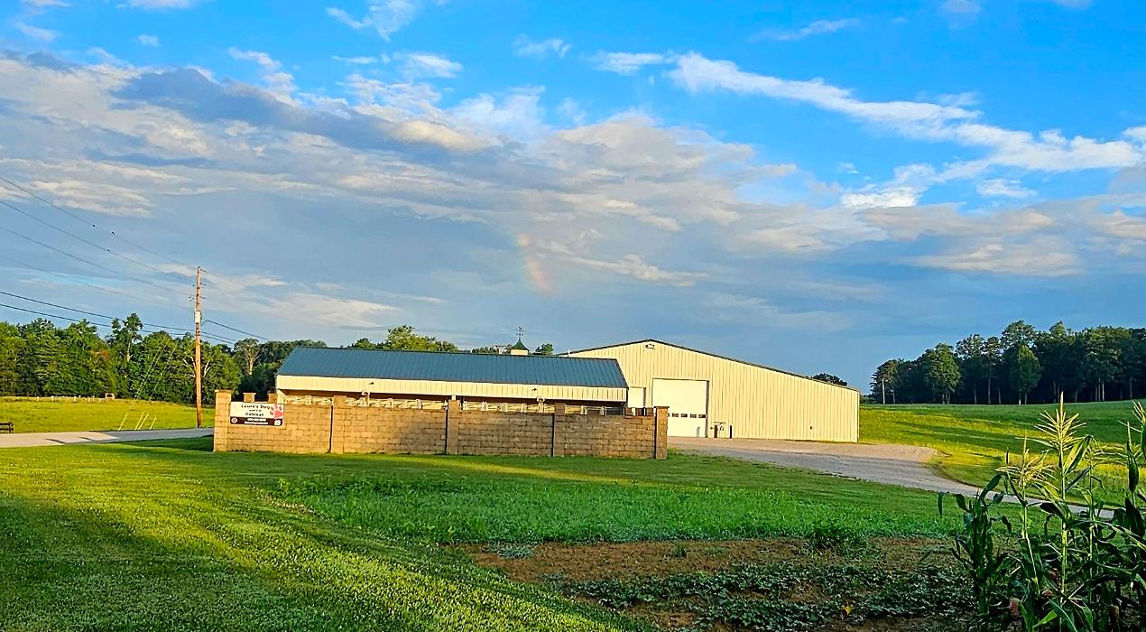 Laura's Dog Retreat - London, KY