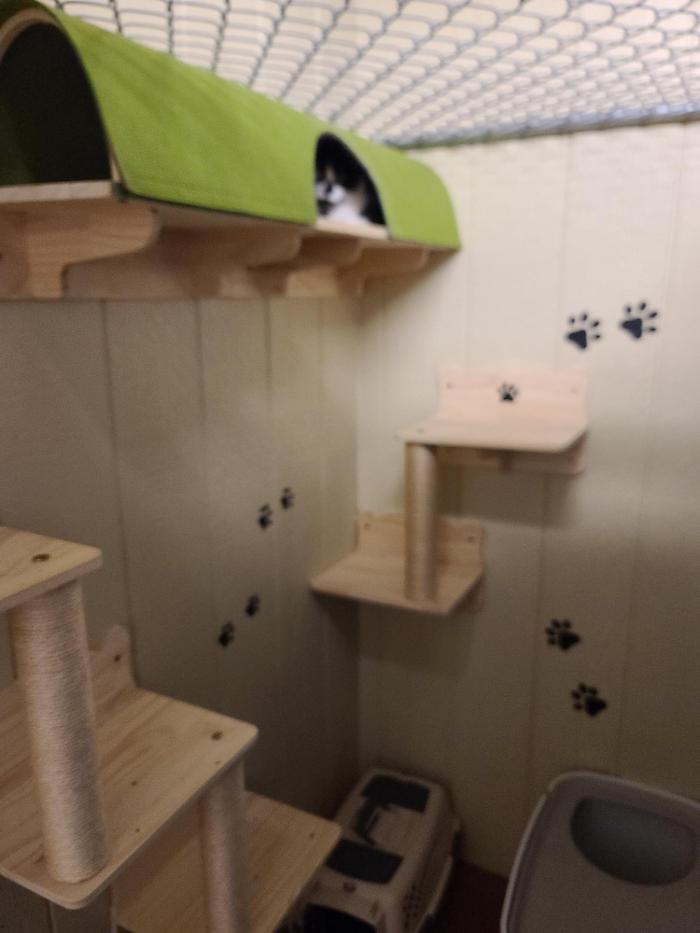 Laura's Dog Retreat - London, KY