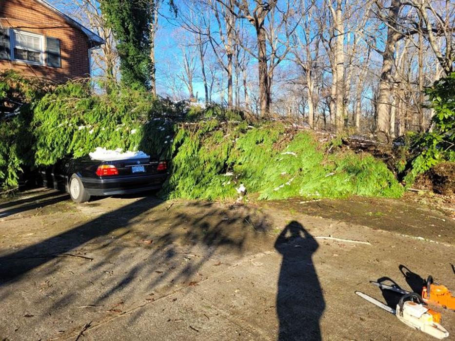 Greener Pastures Tree Co. - Trinity, NC