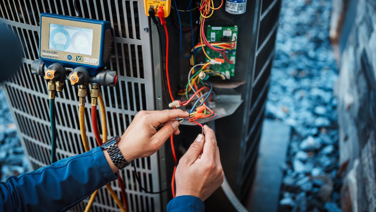 Rogue Sea - Charlotte, NC