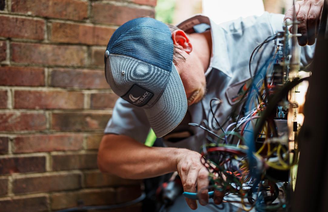 Rogue Sea - Charlotte, NC