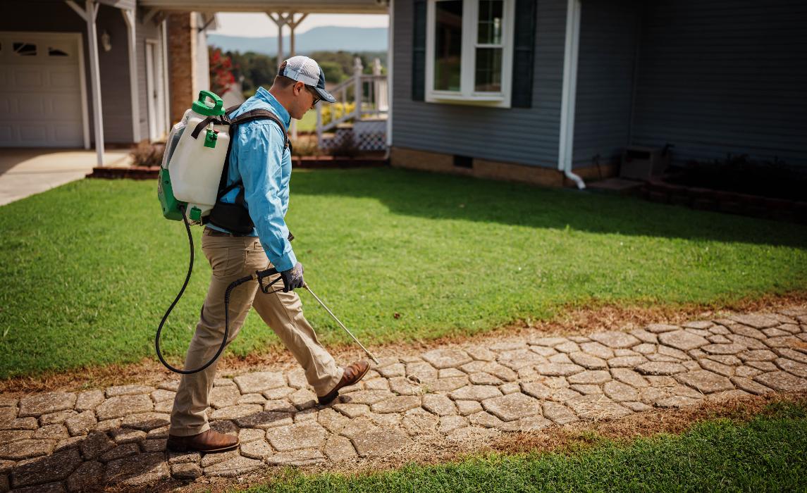 Rogue Sea - Charlotte, NC