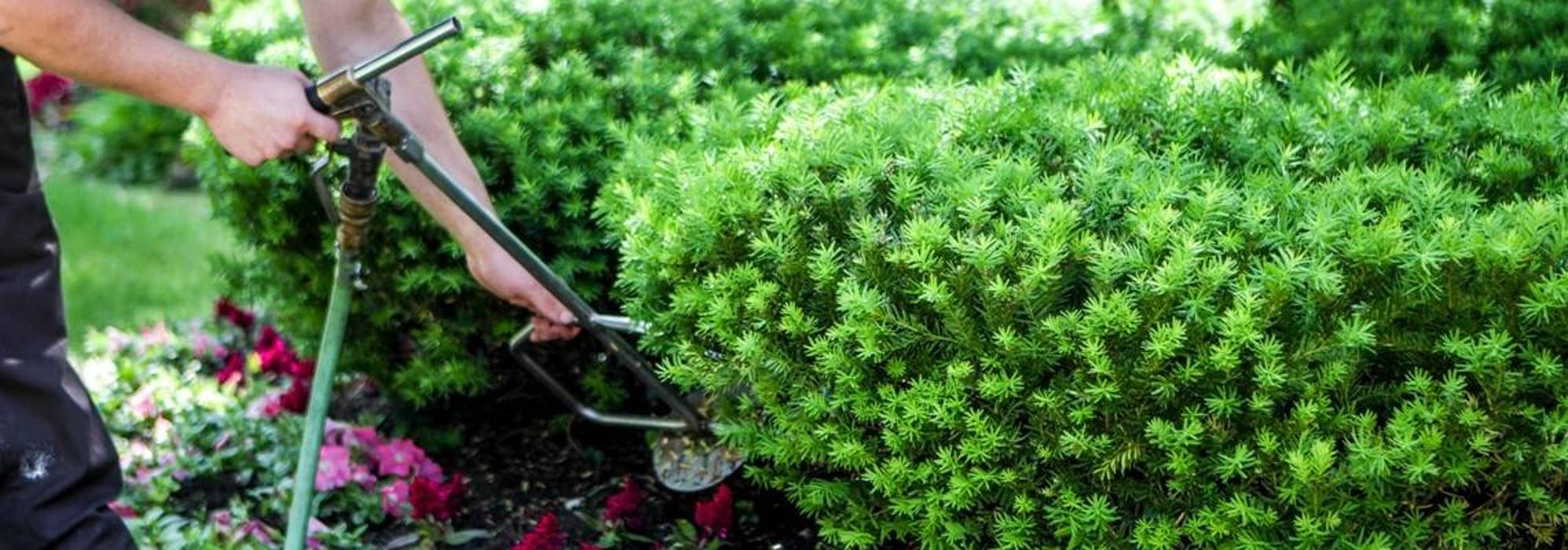 Mt Pleasant Tree Service - Huger, SC