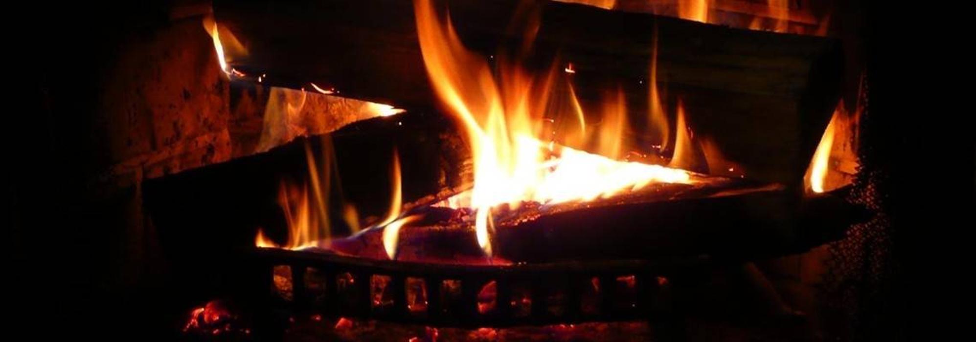 Mt Pleasant Tree Service - Huger, SC